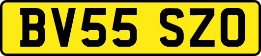 BV55SZO