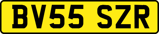 BV55SZR
