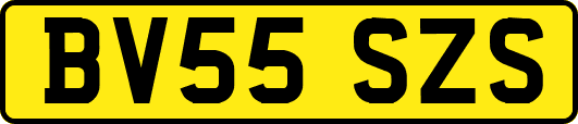 BV55SZS