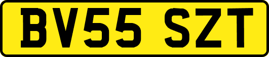 BV55SZT