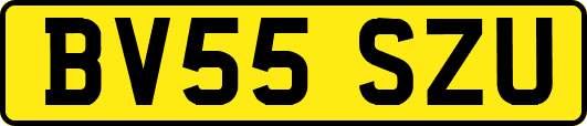 BV55SZU