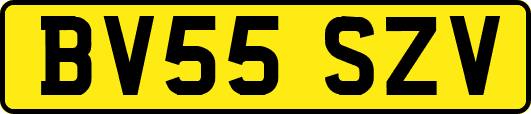 BV55SZV