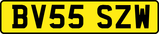 BV55SZW