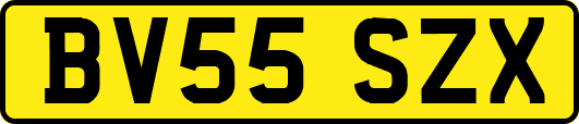BV55SZX