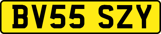 BV55SZY