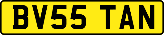 BV55TAN