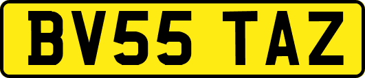 BV55TAZ