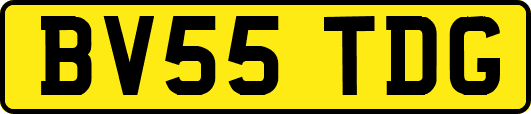 BV55TDG