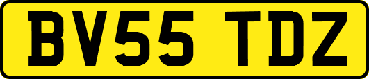 BV55TDZ