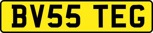 BV55TEG