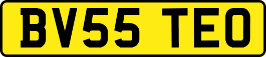 BV55TEO