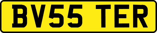 BV55TER