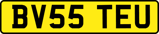 BV55TEU