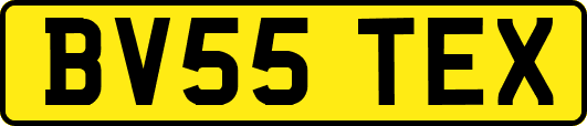 BV55TEX