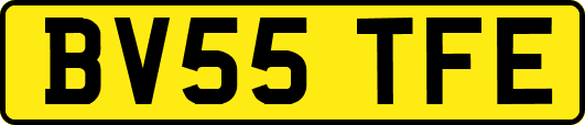 BV55TFE