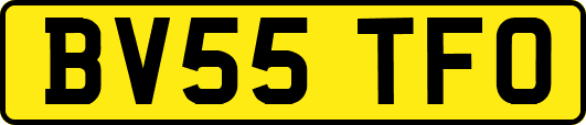 BV55TFO