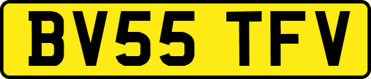 BV55TFV
