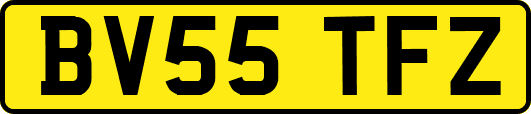 BV55TFZ