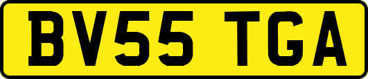 BV55TGA