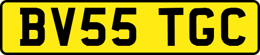 BV55TGC