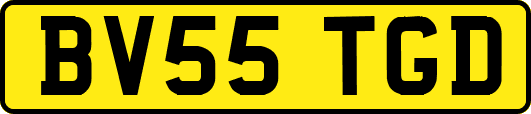 BV55TGD