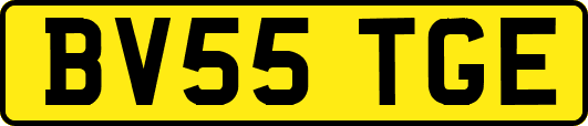 BV55TGE