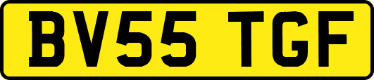 BV55TGF