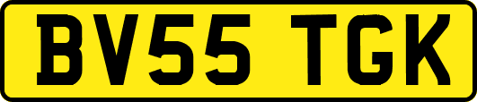 BV55TGK