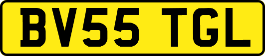 BV55TGL
