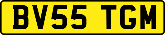 BV55TGM