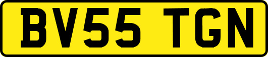 BV55TGN