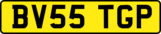 BV55TGP