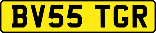BV55TGR