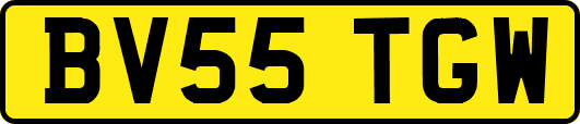 BV55TGW