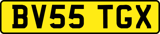 BV55TGX