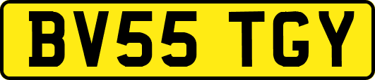 BV55TGY