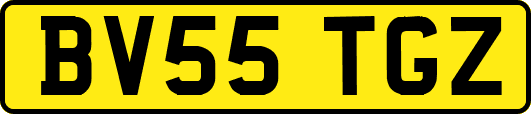 BV55TGZ