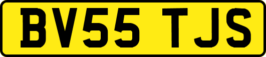 BV55TJS