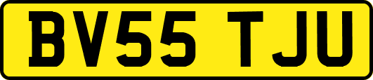 BV55TJU