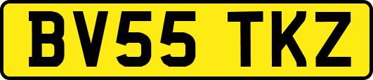 BV55TKZ