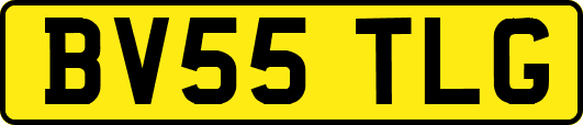 BV55TLG