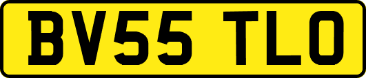 BV55TLO