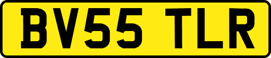 BV55TLR