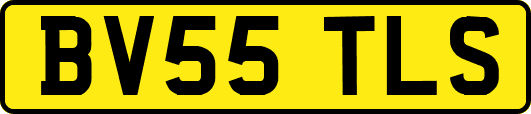 BV55TLS