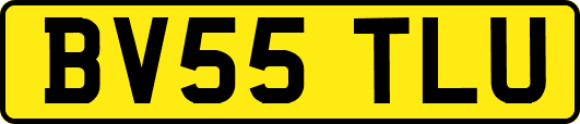 BV55TLU