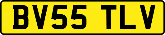 BV55TLV