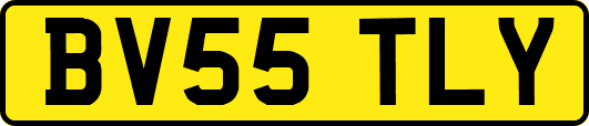 BV55TLY