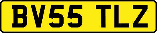 BV55TLZ