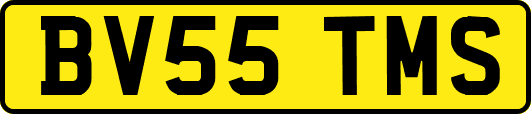 BV55TMS