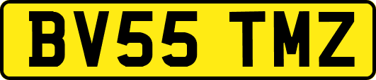 BV55TMZ